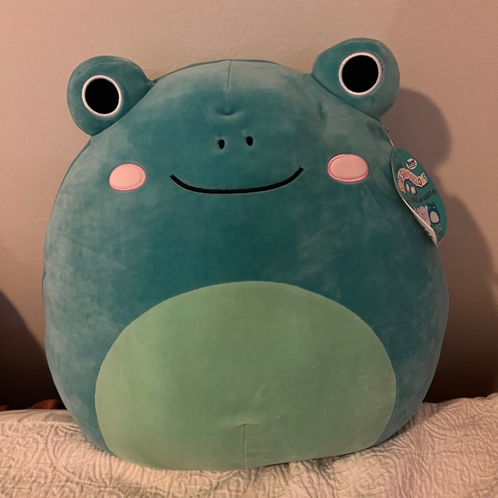 BAM! Exclusive Frog Squishmallow - Ludwig